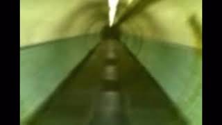Libet's Delay but without the song (gooseman)