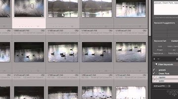 Lightroom - basic keywords and metadata