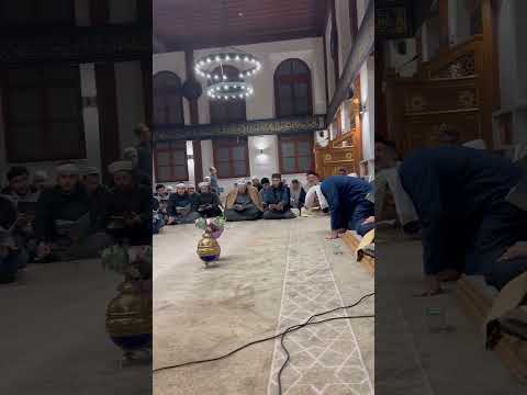 البردة الشريفة الشيخ محمود الدرة 