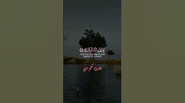 تلاوة خاشعة #قران_كريم_راحة_نفسية #الشيخ #عبد_العزيز_سحيم#القارئ#عبدالرحمن_سعد #القران_الكريم #قرآن