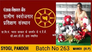 PNB RSETI Mandi Programme Soft toys making and selling batchno 263 screenshot 5
