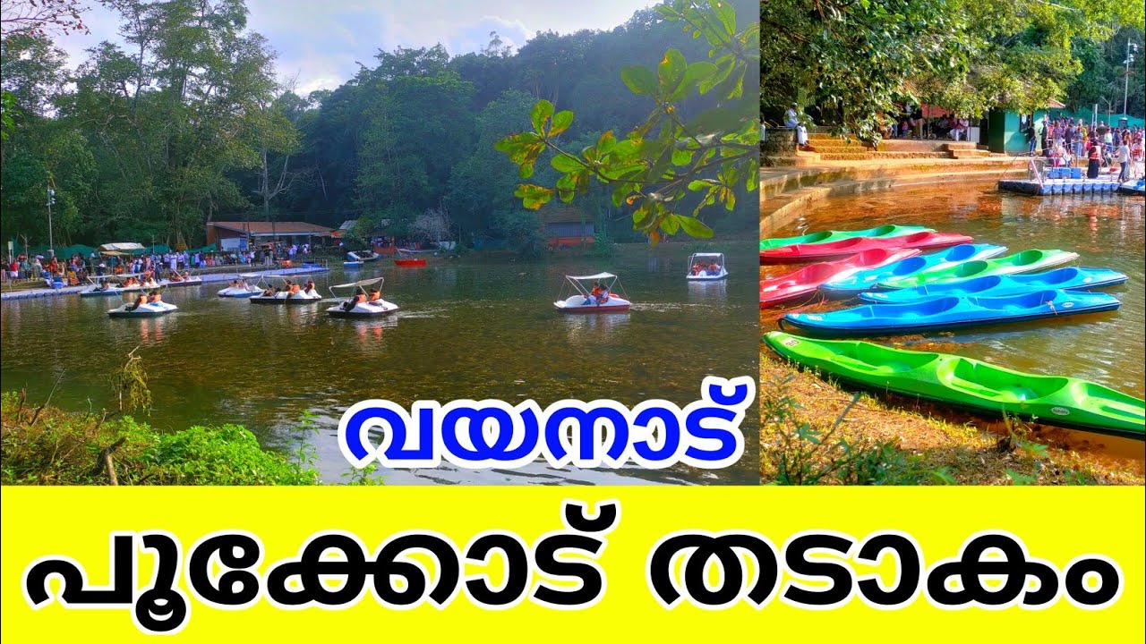 Wayanad Pookode Lake l boating Tourist Place Pookode Lake Wayanad kerala