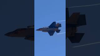 F35A Lightning Ii 64Th Agrs Stealth Fighters Flex