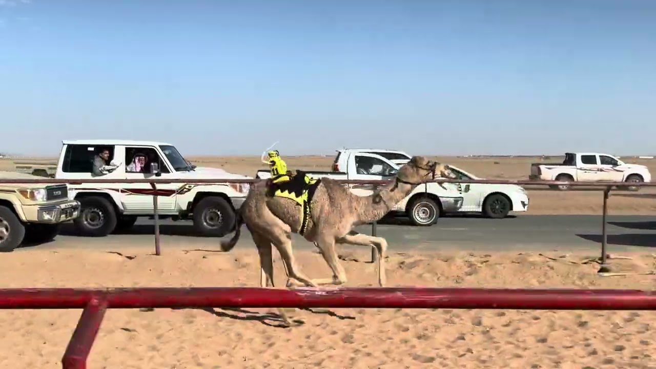 ش6قعدان مفاريد مخلف بدر جزاء الشمري