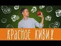 Красное киви - чем отличается от обычного?