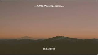 Soulfeed - Peak Story/Simply City Remix/