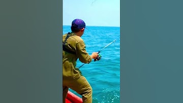 Câu cá biển / jig cá bè lão #fishing #fish #bassfishing #jigging #belao @giangngofising