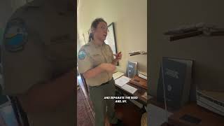 Tour the Orman house. Cotton picking and Oyster shucking. Full clip