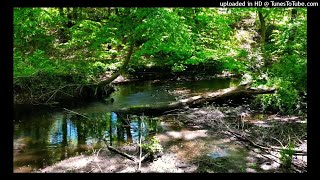 Tranquil Brook