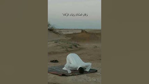 #ماهر_المعيقلي #قرآن #سورة_النور