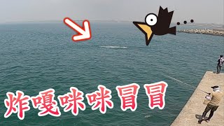 大型水花秀炸嘎咪咪冒冒,南部漁港岸拋也能釣到這種大魚?鐵板弓角攻略#赫馬士~Something Big Attacking Bait Ball At Harbor Of Southern Taiwan 大型水花秀炸嘎咪咪冒冒,南部漁港岸拋也能釣到這種大魚?鐵板弓角攻略#赫馬士~Something Big Attacking Bait Ball At Harbor Of Southern Taiwan