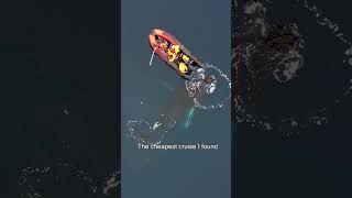 Antarctica Just Became a Tourist Destination #antarctica #expedition #antonsomеwhere