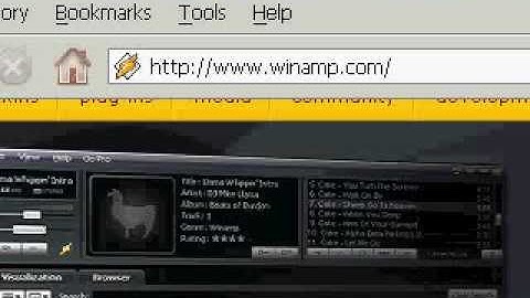 How to Download Music, video from winamp.com