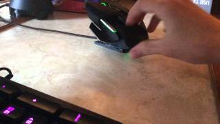 The Lamborghini Mouse (Coolest Mouse Ever)