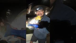 Glidebaits Catch Massive Speckled Trout! #fishing