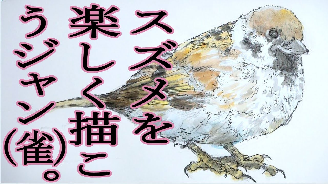 デッサン描き方 手描き実速 詳しい口頭解説 スズメ How To Draw Sparrow Youtube