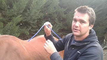 Saddle fitting pt1 (How to use the Gullet Measuring Tool)