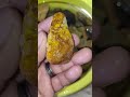 Hermosa piedra amarilla #preciousstones #piedraspreciosas #minerals #minerales