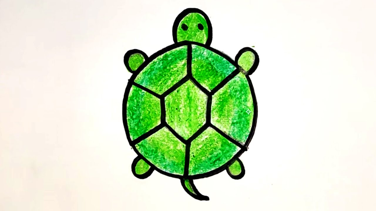 How to draw tortoise or Turtle 🐢 || Turtle drawing step by step ...