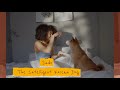 Jindo – The Intelligent Korean Dog の動画、YouTube動画。