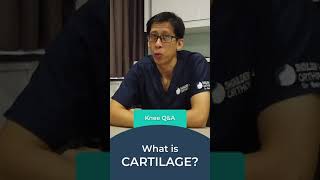 What is Cartilage? Cartilage
