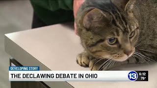Local vet talks about bill that would make declawing your cat illegal in Ohio