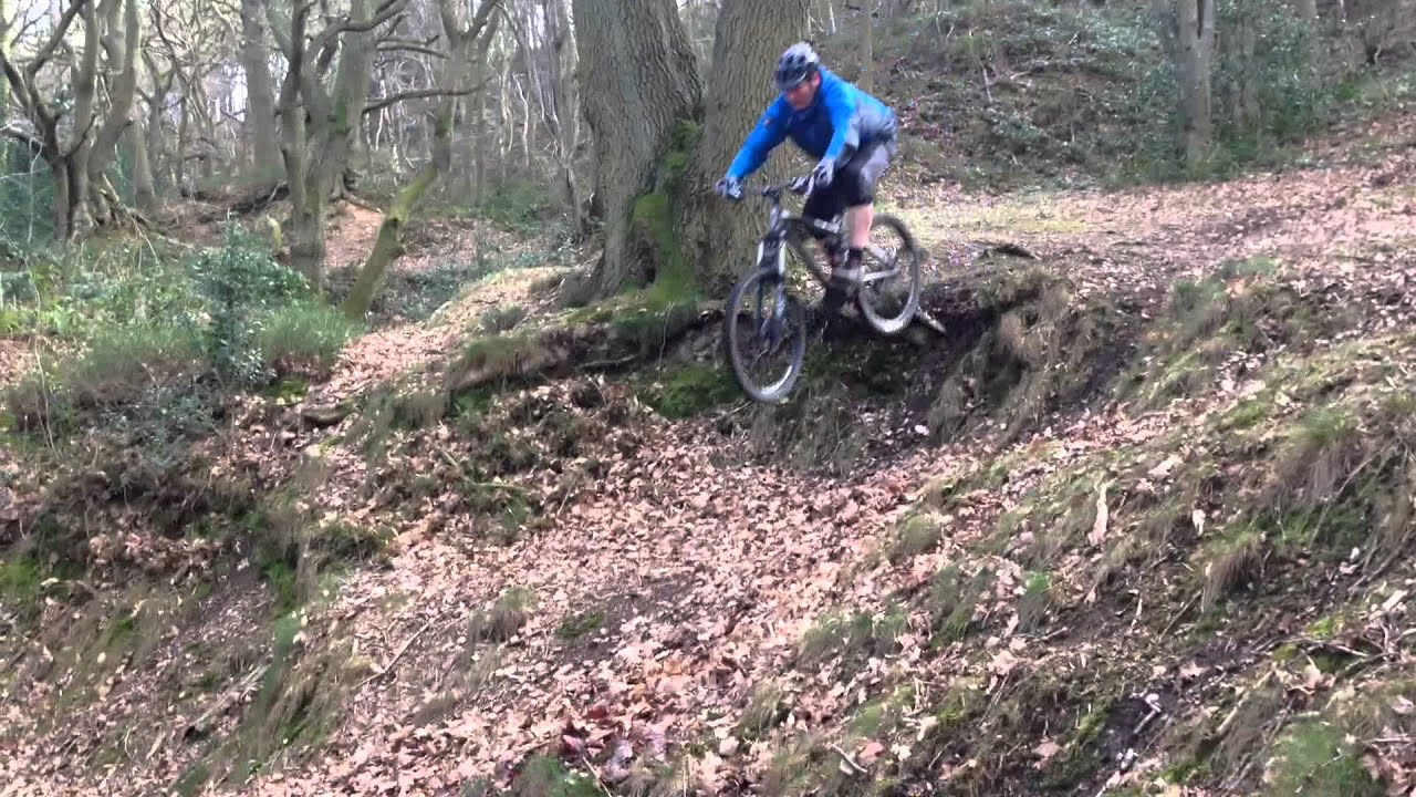 Ercall woods 2nd visit