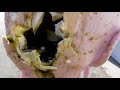 End of video