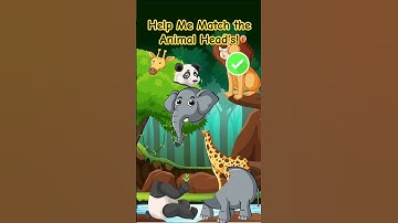 Can You Match the Animal Heads to Their Bodies?