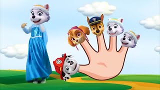 Family Paw Patrol + More Nursery Rhymes | Max & Sofi Kinderwood