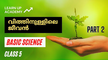 Class 5 Basic Science - Chapter 4 | Vithinullile Jeevan | Life within the seed
