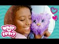 How to play with new what the fluff surprise interactive pet