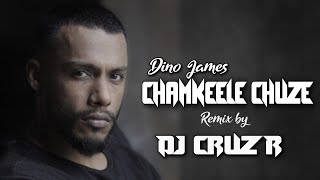 Chamkeele Chuze - Dino James ft.Girish Nakod (Prod. Bluish Music) [DJ Cruz R Remix]