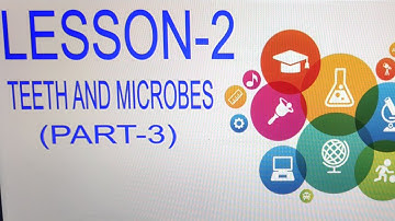 Class 4- Lesson 2(Teeth and Microbes) Part-3
