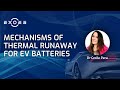 Mechanisms of Thermal Runaway for EV Batteries