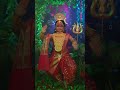 DEVI PARVATI | LOOK OF DURGA