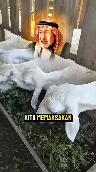 Jangan malu terlihat sederhana #nasehat #katakatabijak #motivasihidup #quotes