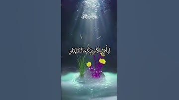 رب المشرقين ورب المغربين فبأي ألاء ربكما تكذبان #عبد_الباسط_عبد_الصمد #قرآن #سورة_الرحمن