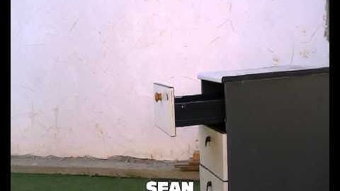 CLICKER TRAINING X PLORER Dog Solution