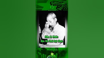 ĐIỀU GÌ KHIẾN BÁC HỒ PHẢI BẬT KHÓC… #bảocóc #bacho #bảocócvlog #baococvlogboss #shorts #bacho #xh