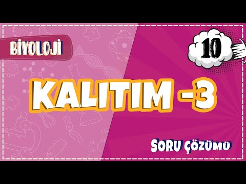 10. Sınıf Biyoloji - Kalıtım - 3 Soru Çözümleri | 2022