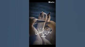 سورة النحل الآية ١١٢|Sura Al Nahl Aya 112|#quran #القرآن_الكريم