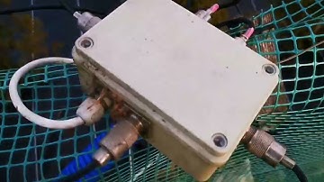 Directional 40m band two element phased vertical antenna array