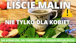 Liście malin. Nie tylko dla kobiet. Idealne na gorączkę, na trawienie i do zadań specjalnych