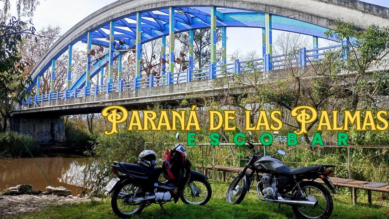 Paraná de las Palmas ( Escobar - Buenos Aires)
