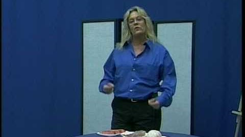 Intro 1: Asheville Rolfing and Structural Integration by Sandy Eha