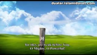 Beautiful Dua by Mishary Alafasy with English Translation