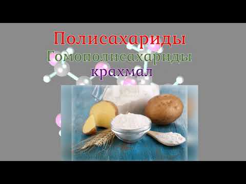 Углеводы и их значение в организме. Химический состав клетки