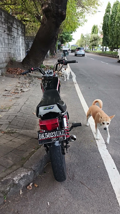 4nj*ng penasaean #rxking135cc