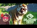 Beautiful BENGAL Tigers!! 🦒 Planet Zoo BETA • #4